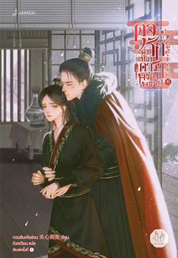 รูปภาพของ ดุจรักดั่งห้วงดาราพร่างพราย เล่ม 6
